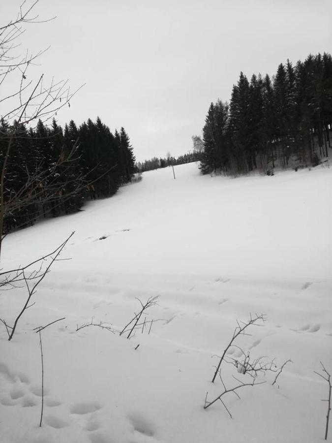 Villa Chaloupka u lišáka Snezne  Exterior foto